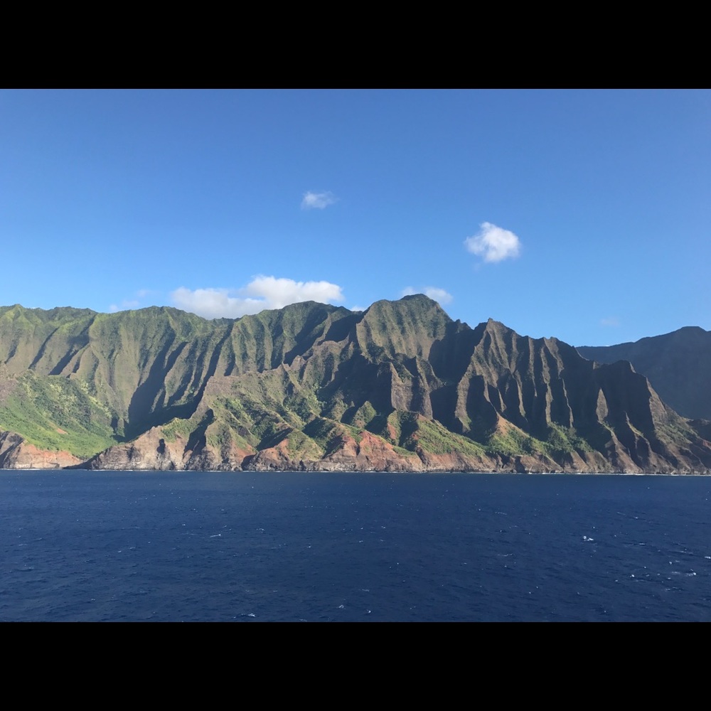 Meet your Posher, Tabitha